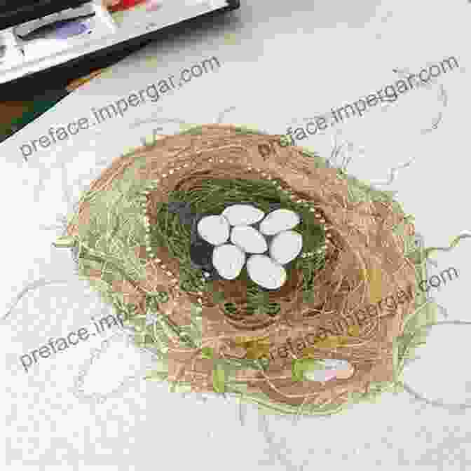 A Close Up Of A Magpie's Nest, Intricate And Full Of Secrets The Magpie S Nest: A Treasury Of Bird Folk Tales