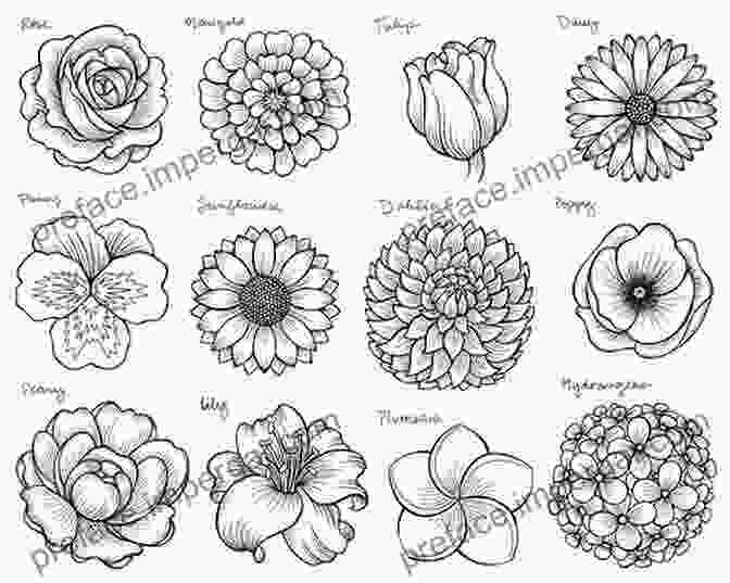 A Collection Of Diverse Fantasy Flower Drawings, Showcasing Various Styles And Techniques How To Draw Fantasy Flowers