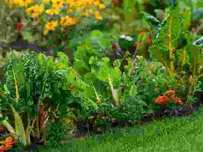 A Colorful And Vibrant Garden Filled With Vegetables, Fruits, And Flowers Abel S Grow Guide: Volume 1: The Beginner Garden