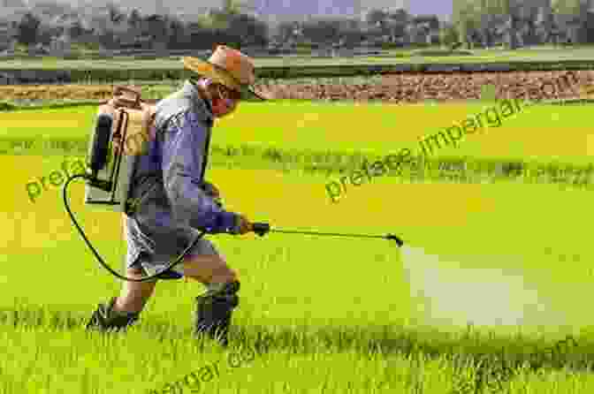 A Farmer Using A Handheld Sprayer To Apply Pesticides To Crops. Farm Machinery For Spraying And Dusting Crops