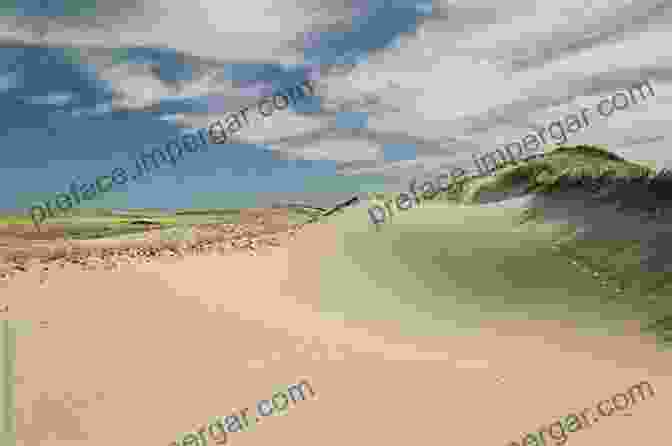 A Panoramic View Of A Sprawling Cape Cod Beach With Rolling Sand Dunes And The Atlantic Ocean Beyond The Outer Lands: A Natural History Guide To Cape Cod Martha S Vineyard Nantucket Block Island And Long Island