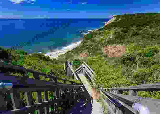 A Panoramic View Of Block Island's Dramatic Mohegan Bluffs, Featuring Towering Cliffs And Crashing Waves The Outer Lands: A Natural History Guide To Cape Cod Martha S Vineyard Nantucket Block Island And Long Island