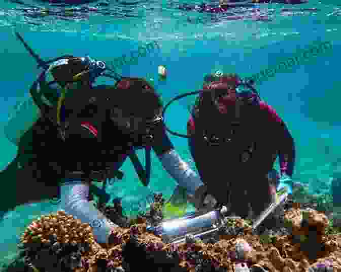 A Scientist Conducting Research On A Marine Specimen, Highlighting The Scientific Value Of Ocean Exploration. Taming The Atlantic: The History Of Man S Battle With The World S Toughest Ocean (Biography)