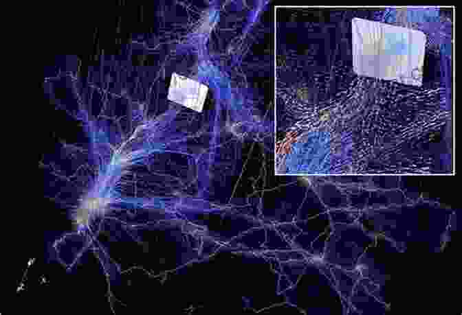 A Simulation Of Dark Matter Distribution In The Universe, Revealing Its Invisible Yet Pervasive Influence Knowledge In A Nutshell: Astrophysics: The Complete Guide To Astrophysics Including Galaxies Dark Matter And Relativity