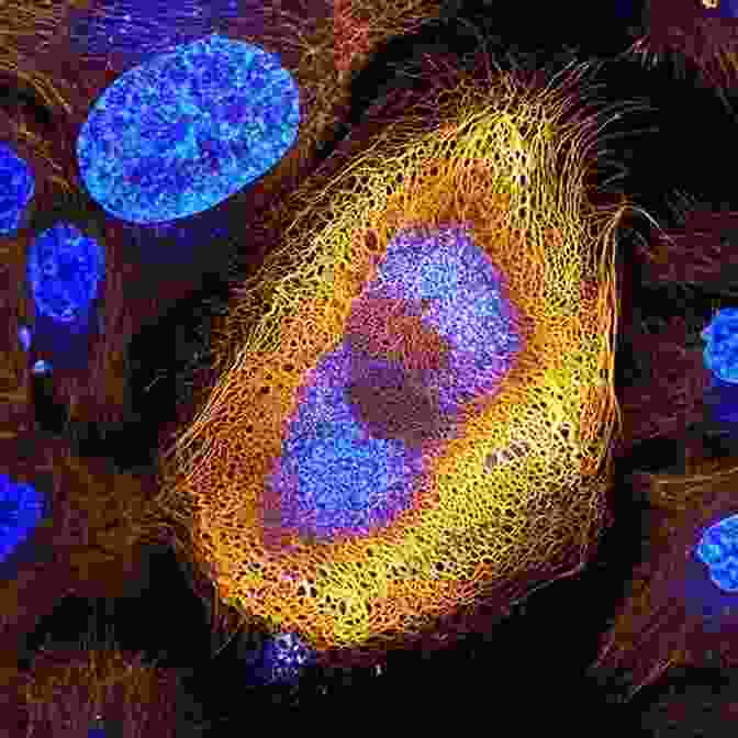 A Stunning Microscopic Image Of A Living Cell, Showcasing Its Intricate Structures And Vibrant Colors The Song Of The Cell: An Exploration Of Medicine And The New Human