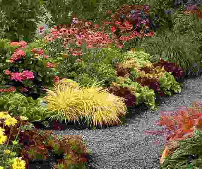 A Stunning Shade Garden With A Variety Of Vibrant Perennials And Contrasting Foliage Shade Gardening: How To Create A Stunning Shade Garden (Perennial Gardening 3)