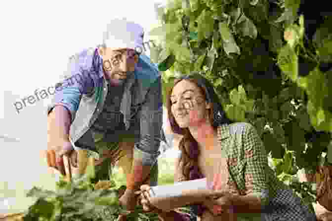 A Warm And Inviting Depiction Of The Pickle Family Standing Together In The Fields Of Their Farm, Their Faces Radiating With Joy And Determination. In A Pickle: A Family Farm Story