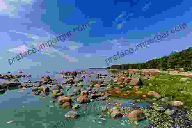 Coastal View Of The Baltic Sea THE BALTIC SEA 2024 22: Super New Edition