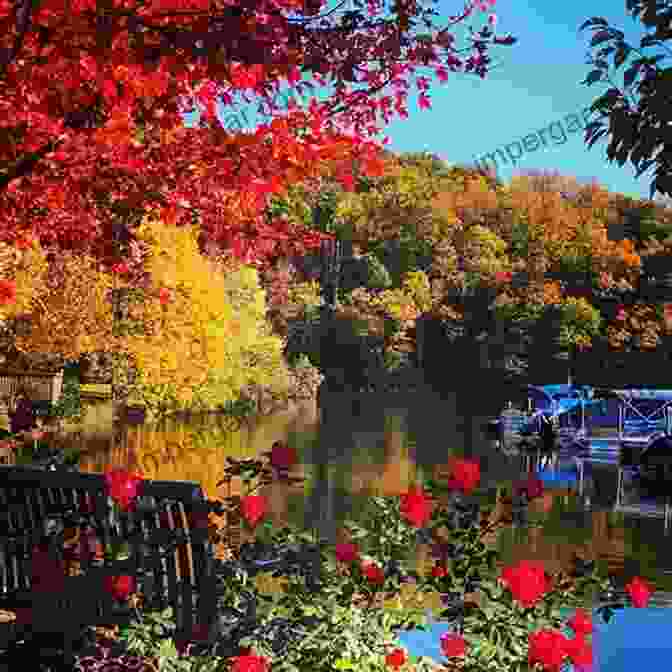 Community Gathering At Lake Lure Lake Lure (Images Of America)