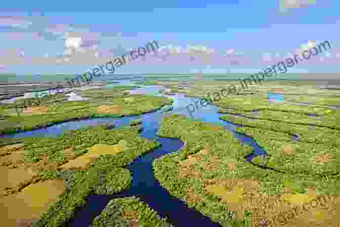 Everglade, Florida, Today Everglades City (Images Of America)