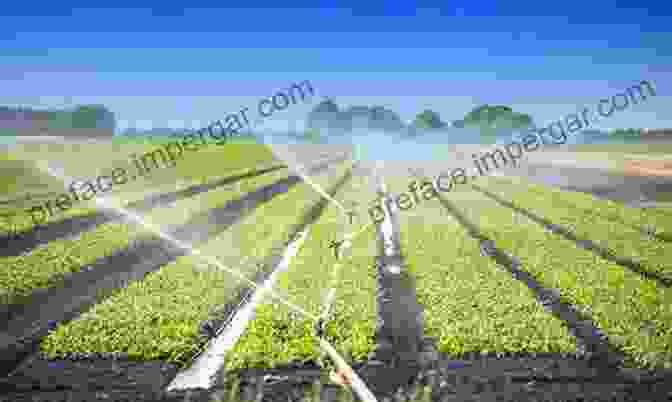 Image Of A Farmer Irrigating Cassava Plants In A Field Using A Drip Irrigation System Achieving Sustainable Cultivation Of Cassava Volume 1: Cultivation Techniques (Burleigh Dodds In Agricultural Science 20)