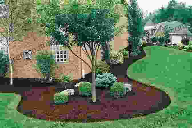 Image Of Layer Mulching In A Garden Bed Composting For The Savvy Gardener: Including Hot And Cold Composting Layer Mulching Vermiculture And Bokashi (No Dig Gardening Techniques)