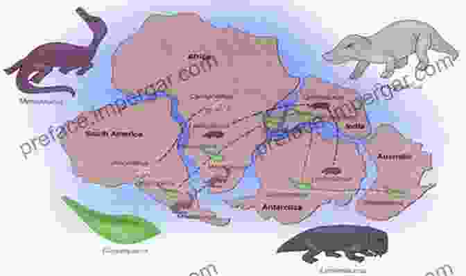 Map Showing The Geographic Distribution Of A Fossil Taxon Stratigraphic Paleobiology: Understanding The Distribution Of Fossil Taxa In Time And Space