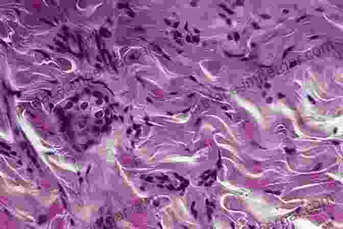 Microscopic Image Of Connective Tissue, Highlighting Its Collagen Fibers And Dispersed Cells An Atlas Of Histology Dr Deen Mirza