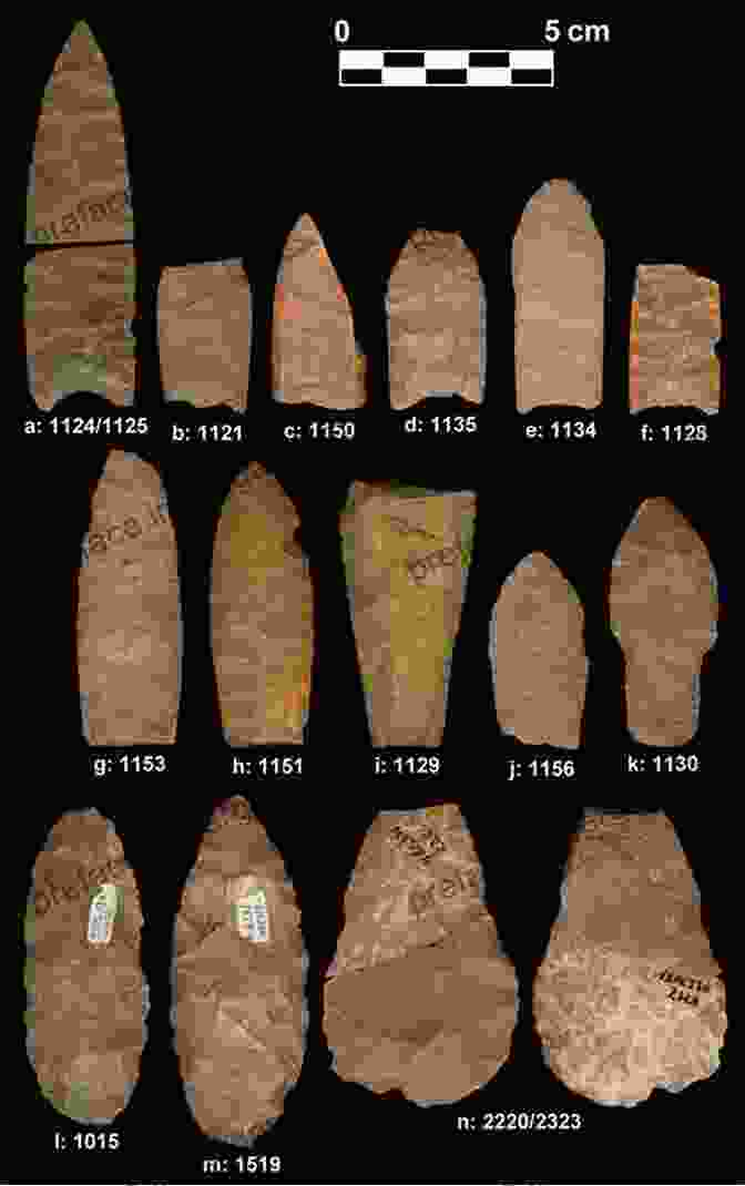 Paleoindian Artifacts From The Lange Ferguson Site Clovis Mammoth Butchery: The Lange/Ferguson Site And Associated Bone Tool Technology (Peopling Of The Americas Publications)