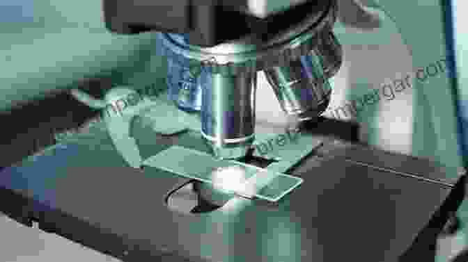 Photo Of A Scientist Using A Microscope To Examine A Tissue Sample An Atlas Of Histology Dr Deen Mirza