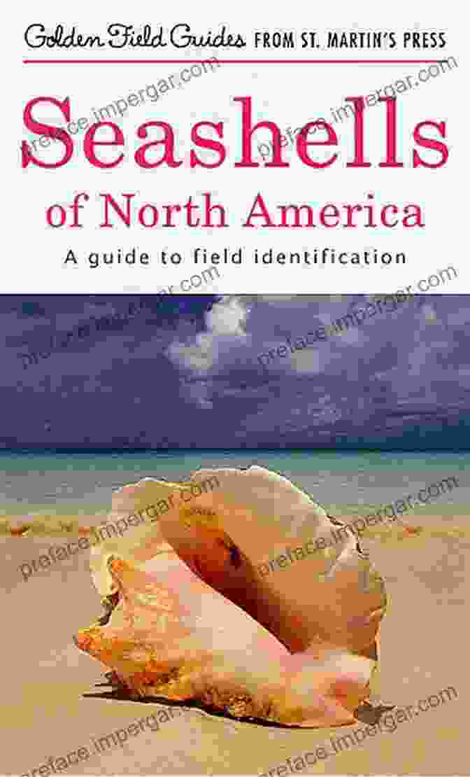 Seashells Of North America Book Cover Seashells Of North America: A Guide To Field Identification (Golden Field Guide From St Martin S Press)