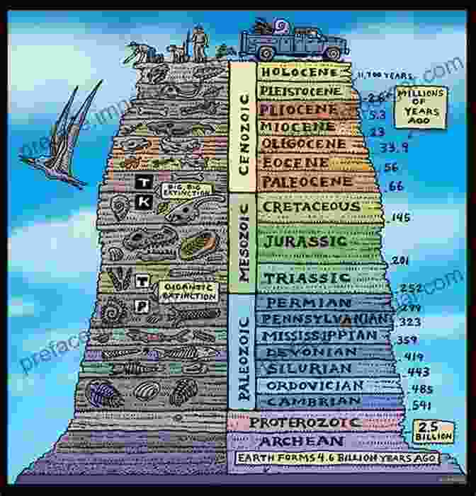 Stratigraphic Column Showing The Distribution Of Fossil Taxa Over Time Stratigraphic Paleobiology: Understanding The Distribution Of Fossil Taxa In Time And Space