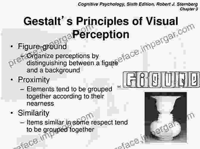 Visual Perception Principles In Medical Image Interpretation The Handbook Of Medical Image Perception And Techniques