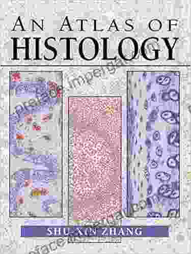 An Atlas Of Histology Dr Deen Mirza