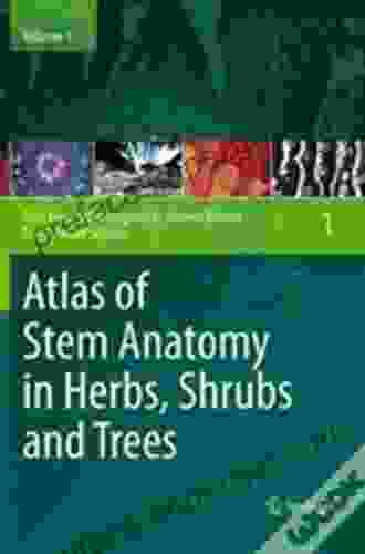 Atlas Of Stem Anatomy In Herbs Shrubs And Trees: Volume 1