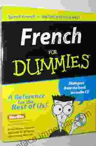 French For Dummies Dodi Katrin Schmidt