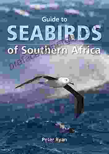 Guide To Seabirds Of Southern Africa