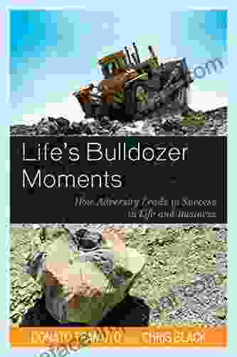 Life S Bulldozer Moments: How Adversity Leads To Success In Life And Business