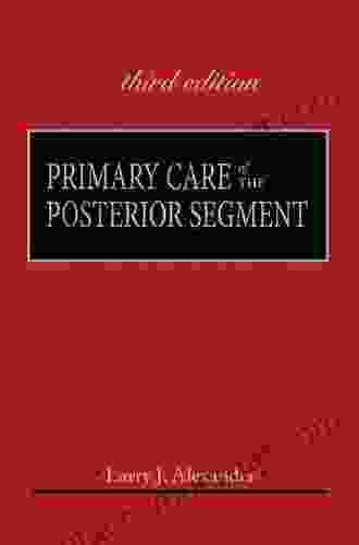 Primary Care Of The Posterior Segment Third Edition