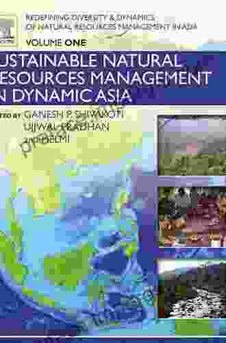 Redefining Diversity And Dynamics Of Natural Resources Management In Asia Volume 1: Sustainable Natural Resources Management In Dynamic Asia