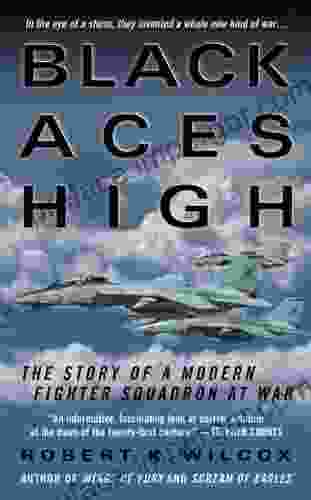 Black Aces High: The Story Of A Modern Fighter Squadron At War