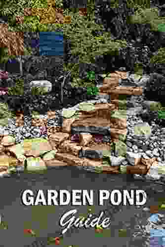 Garden Pond Guide: Gift Ideas For Christmas