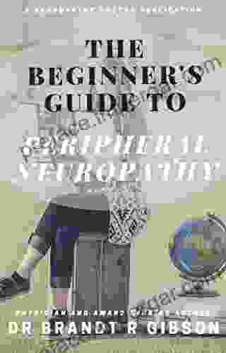 The Beginner S Guide To Peripheral Neuropathy