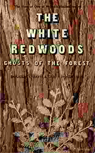 The White Redwoods: Ghosts Of The Forest