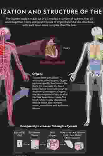 Anatomy Of Dolphins: Insights Into Body Structure And Function