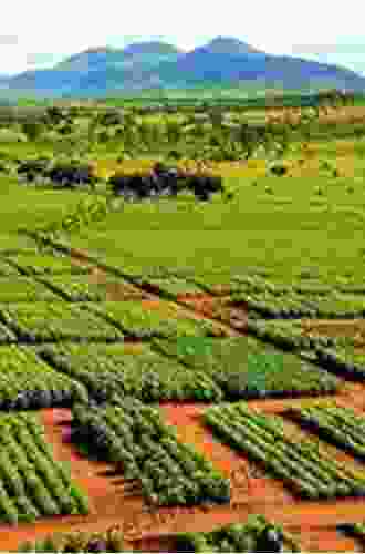 Conservation Agriculture In Africa: Climate Smart Agricultural Development