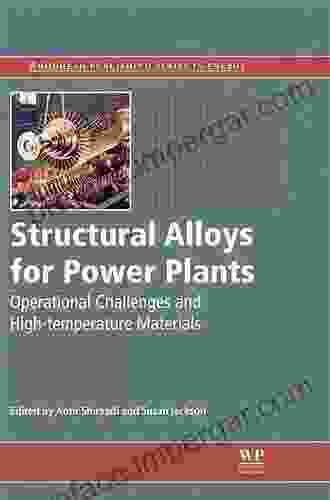 Structural Alloys For Power Plants: Operational Challenges And High Temperature Materials (Woodhead Publishing In Energy 45)