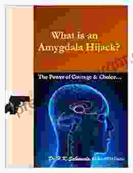 What Is An Amygdala Hijack? Beware The Amygdala Hijack : The Power Of Choice Courage