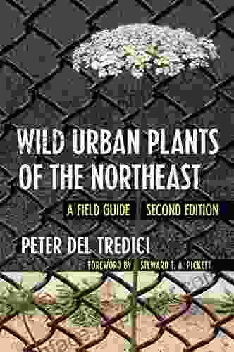 Wild Urban Plants Of The Northeast: A Field Guide